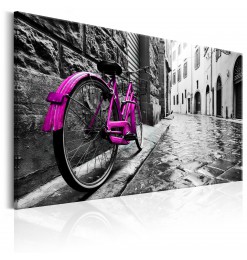 Cuadro - Vintage Pink Bike