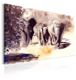 Cuadro - Watercolour Elephants
