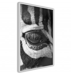 Póster - Zebra Is Watching You