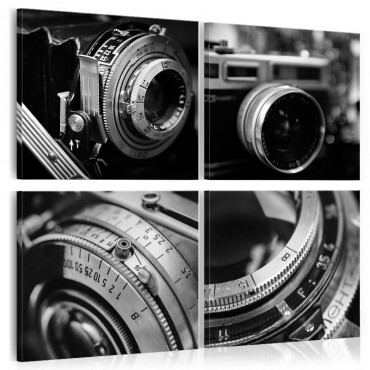 Cuadro - Vintage Cameras